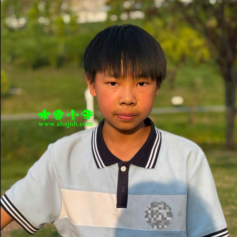 No.336主图